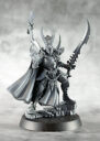 GW Drukhari Raiders 08