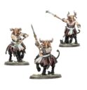 Games Workshop Stierzentauren : Gesalbte Wächter 3