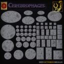 TF Cerebrophages 19