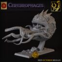 TF Cerebrophages 8