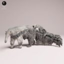 ADM Amazon Rainforest 1