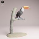 ADM Amazon Rainforest 10