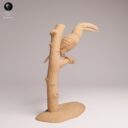 ADM Amazon Rainforest 11