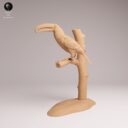 ADM Amazon Rainforest 12