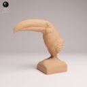 ADM Amazon Rainforest 13