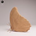 ADM Amazon Rainforest 17