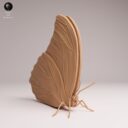 ADM Amazon Rainforest 18