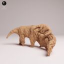 ADM Amazon Rainforest 2