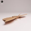 ADM Amazon Rainforest 20