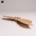 ADM Amazon Rainforest 21