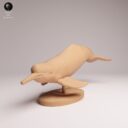 ADM Amazon Rainforest 23