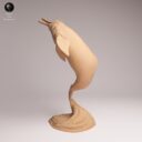 ADM Amazon Rainforest 26