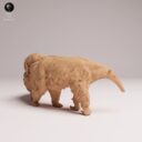 ADM Amazon Rainforest 3