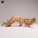 ADM Amazon Rainforest 5