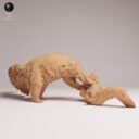 ADM Amazon Rainforest 6