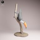 ADM Amazon Rainforest 7