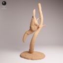 ADM Amazon Rainforest 8