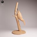 ADM Amazon Rainforest 9