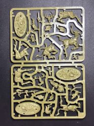 Brueckenkopf Online Unboxing Warhammer Underworlds Zwistwald 14