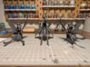 Conquest Para Bellum Weaver Court One Player Starter Set Review 2 25
