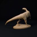 D&D November Patreon 10