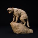 D&D November Patreon 11