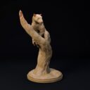 D&D November Patreon 16