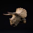 D&D November Patreon 17