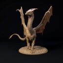 D&D November Patreon 22