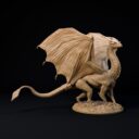 D&D November Patreon 23