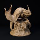 D&D November Patreon 24