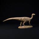 D&D November Patreon 7