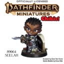 Reaper Miniatures Chibi Pathfinder (16)