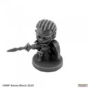 Reaper Miniatures Chibi Pathfinder (4)