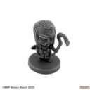 Reaper Miniatures Chibi Pathfinder (9)