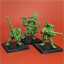 SAS Ogre Mercenaries III (3)