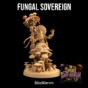 TDTL Masters Of The Weave & Spore Sovereign Pt 2 57