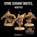 TDTL Masters Of The Weave & Spore Sovereign Pt 2 62