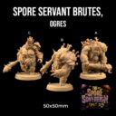 TDTL Masters Of The Weave & Spore Sovereign Pt 2 66
