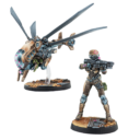 Infinity Dez25 Zey 01