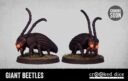 Crooked Giantbeetles Prev