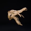 D&D Dezember Patreon 16