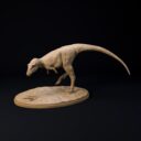 D&D Dezember Patreon 3