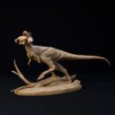 D&D Dezember Patreon 5