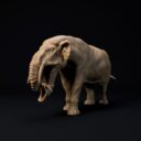 D&D Dezember Patreon 7