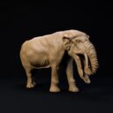 D&D Dezember Patreon 8