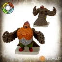 TTCombat Robin Redbreast Christmas Exclusive