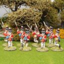 1st Corps Napoleonic British Infantry 5