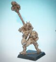 Diehard Miniatures Chaos Standard Bearer Preview 3