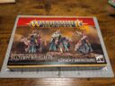 Games Workshop Warhammer Age Of Sigmar Review Madensippe Des Nurgle Schmutzritter 1